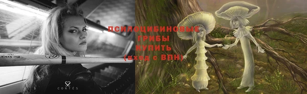 тгк Верея