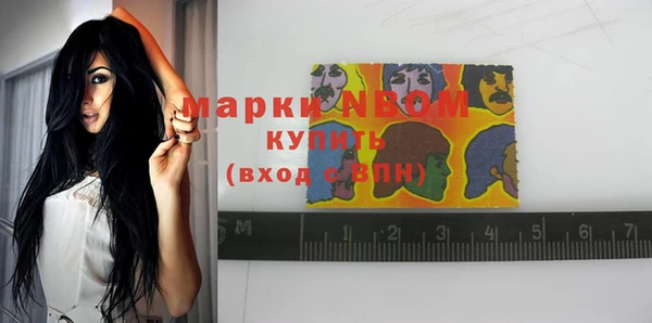 стаф Верхний Тагил