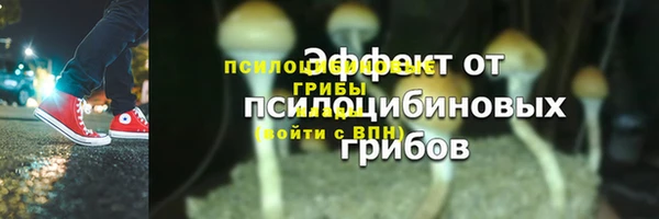 соль ск Верхнеуральск