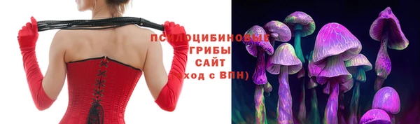 тгк Верея