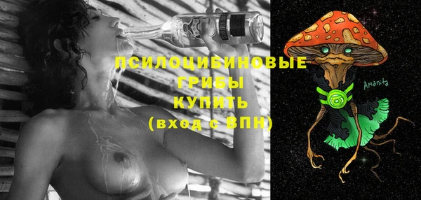 тгк Верея
